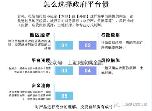 政信城投項目性質(zhì)、政府角色與資本管理解析